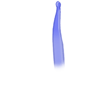 tentacule anémone bleue sept